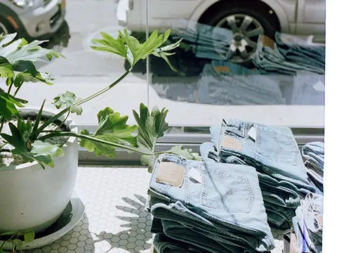 Stacks of folded blue jeans beside a potted plant in a sunlit shop window.