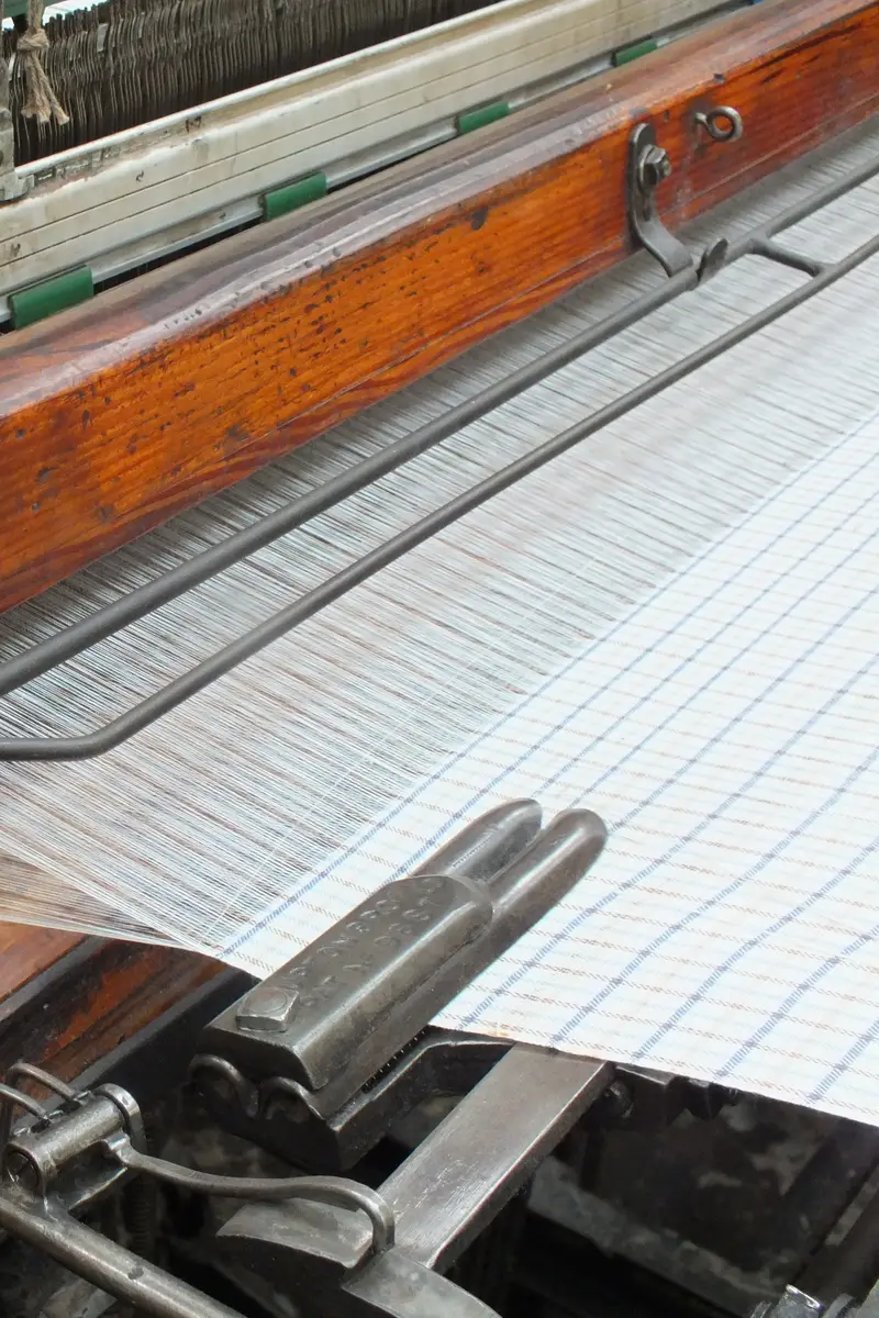 Warp threads running through a working power loom as checked cotton cloth is woven.