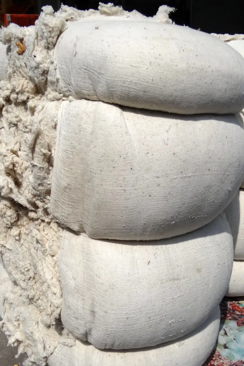 Cotton bales wrapped in white cloth stacked in a yard.