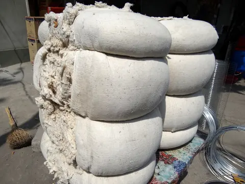Pressed cotton bales stacked in a yard, with raw white cotton lint bursting from the top bale.